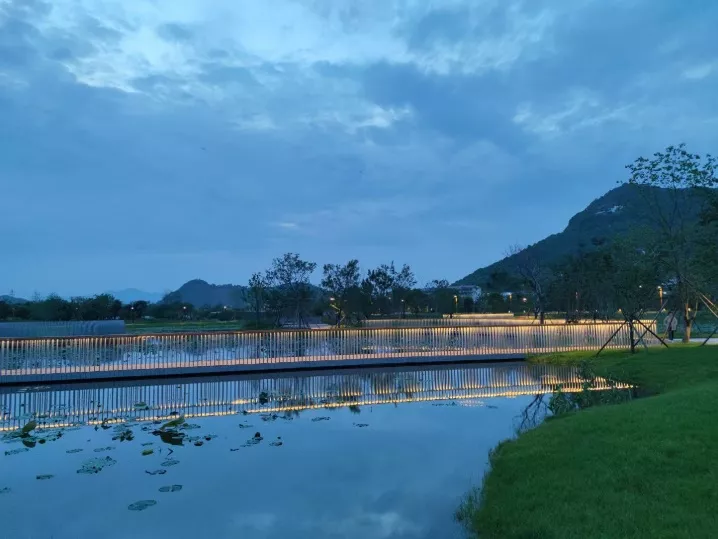 一幅台州“山水画”，河网纵横、草长莺飞｜鉴洋湖湿地公园